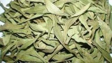 Plant Stevia Dry Dark Green Leaves(Exceptional Purity And Insect Free)
