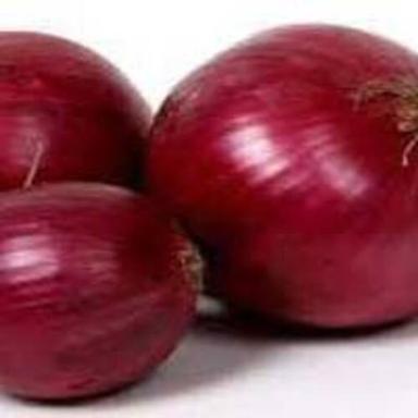 Round & Oval Enhance The Flavor Rich Healthy Natural Taste Fresh Red Onion