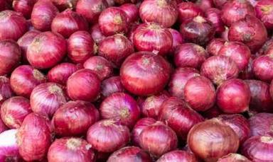 Round Pesticide Free Red Onion For Human Consumption, Natural Shape And Taste