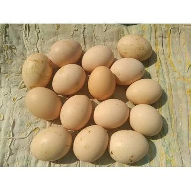 Brown Kadaknath Hatch Eggs