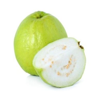 Fine Sweet Delicious Rich Natural Taste Healthy Green Fresh Guava Origin: India