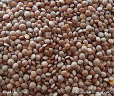 Black Impurity Free Round Shape Indian Organic Masoor Dal