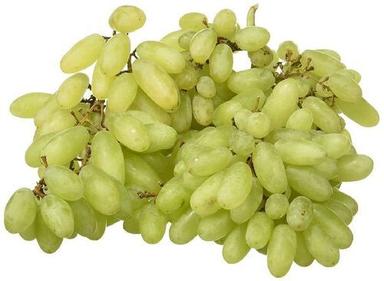 Juicy Rich Delicious Natural Taste Chemical Free Healthy Fresh Green Grapes Origin: India