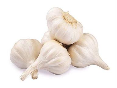 Brown Good For Health Pungent Scent Aromatic And Nutritious White Fresh Garlic