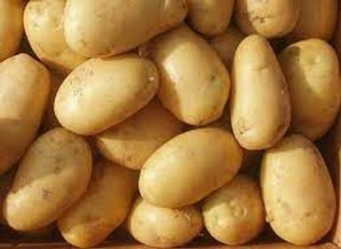 High Dietary Fiber Great Taste And Nutrients A Grade Fresh Potatos