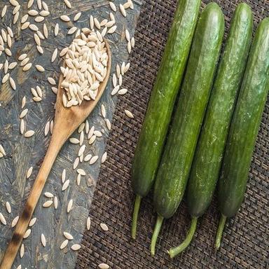 White Cucumber Seeds