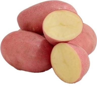 10 Kilogram Packaging Size Round Red Natural Sweet Potatoes 