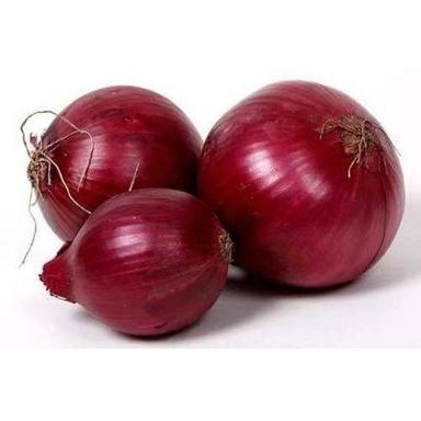 Round Healthy Farm Fresh Indian Origin Naturally Grown Vitamins Rich Red Onion