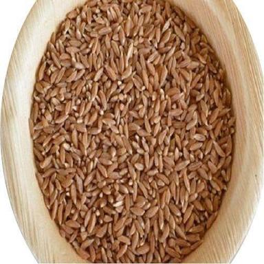 Golden 25 Kg ORGANIC KHAPLI WHEAT