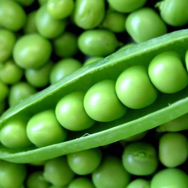 Stainless Steel Naturally Grown Antioxidants And Vitamins Enriched Farm Fresh Green Peas 