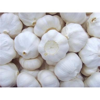 100 Percent Pure Organic And Farm Fresh Naturally Grown White Garlic
