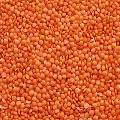 High in Protein Whole Red Lentil Masoor Dal