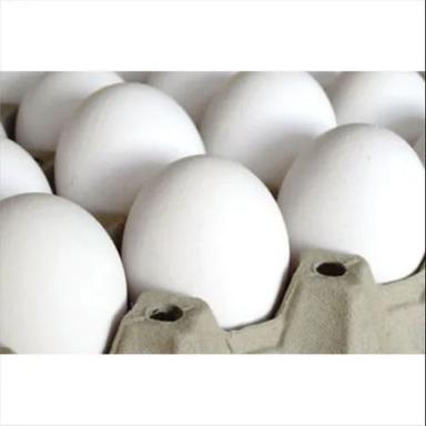 High Quality Protine Fresh Good For Health Standard Sized Hatching Egg Egg Origin: Chicken