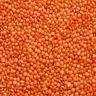Orange A Grade Healthy 100 Percent Pure Dried Splited Masoor Dal