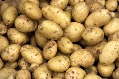 20 Kilogram 1 Week Shelf Life Seasoned Brown Fresh Potato Application: Gain Strength