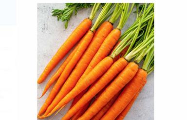 Black Pack Of 1 Kilogram Natural And Pure Fresh Red Carrot Vegetable