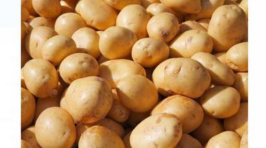Pack Of 1 Kilogram Pure And Natural Brown Fresh Potatoes Vegetable Generic Drugs