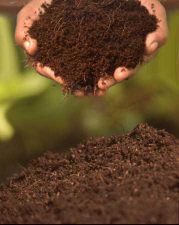 Agriculture Grade Organic Cocopeat Compost Fertilizer For Essential Plant Nutrients
