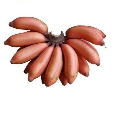 Common Farm Fresh Commonly Cultivated Tasty Long Shape Sweet Red Banana