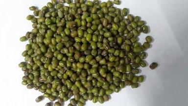 Good Quality Rich Nutrients And Minerals High Protein Indian Organic Green Mung Beans