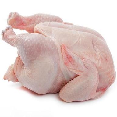 High Calorie And Protein Diet Broiler Chicken Meat