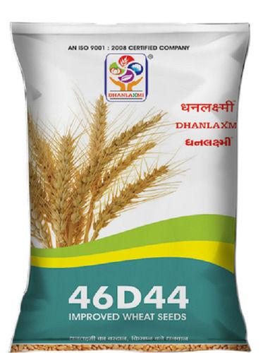 100 Percent Pure And Organic Fresh Dhanlaxmi Improved Wheat Seeds Admixture (%): 1