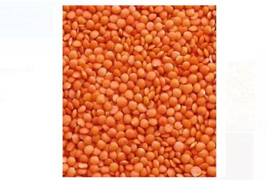1 Kilogram 100 Percent Pure And Natural Dried Whole Red Masoor Dal 