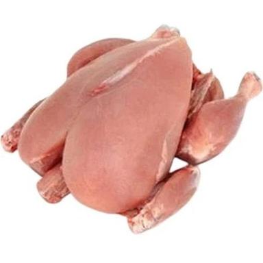 Rich In Vitamin And Protein Healthy 100 Percent Purity Hygienic Frozen Halal Chicken Meat