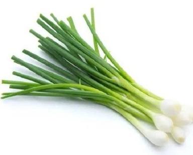 Pure And Natural Commonly Cultivated Farm Fresh Spring Onion Moisture (%): 7%