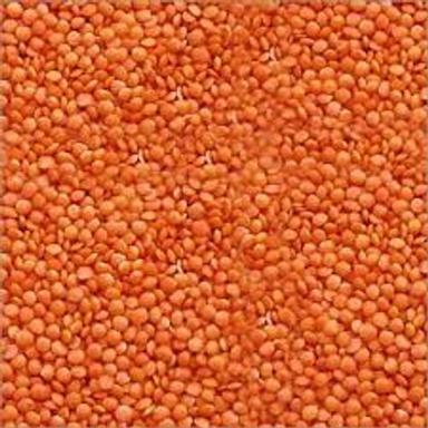 Nutrients Splitted Lentils Red Masoor Dal Stored For Up To 1-2 Years.