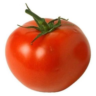 !00% Fresh Red Tomato For For Multipurpose Use