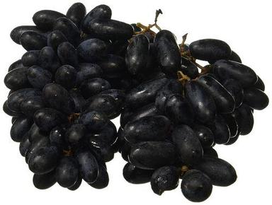 Common Commonly Cultivated Sweet And Sour Fresh Black Grapes