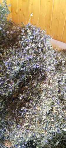 Dried Sweet Violet Flowers Banafsha Used For Cold And Cough