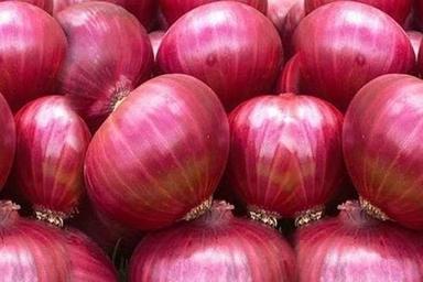 25 Kilograms Pack Size Fresh And Natural Raw Red Onion