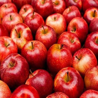 Open Air Premium Quality Fresh Red Royal Kashmiri Apples