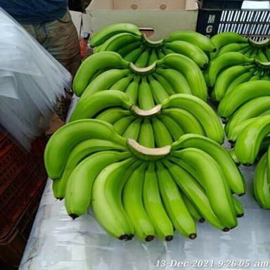 Green Cavendish Banana Premium Grade A