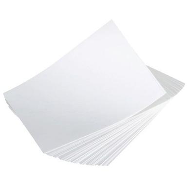 Multifunctional High Qualities Suitable For Printing A3 Size Paper Pack Of 500 