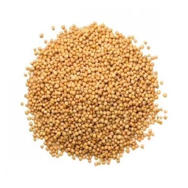 Healthy Natural Rich Fine Taste Chemical Free Organic Yellow Mustard Seeds Herbal Veterinary Drug