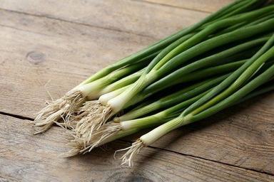 A Grade Cold Storage Organic Spring Onion, Loose, Onion Size Available: Medium Application: Industrial