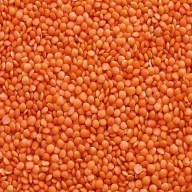 Round Healthy Nutritious High In Protein Orange Masoor Dal  Admixture (%): 0.9%