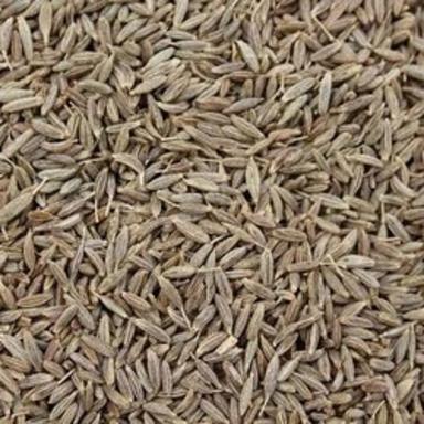 Food Grade Dried and Cleaned Cumin Seed For Spices