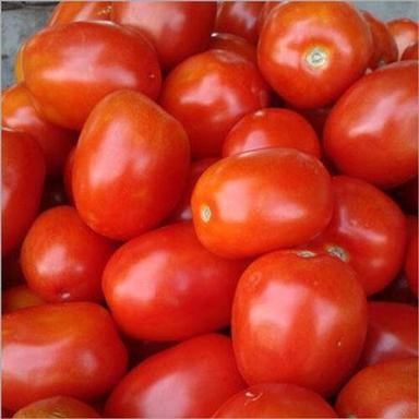 A Grade Indian Origin Commonly Cultivated 99.99% Pure Fresh Red Tomatoes Moisture (%): 63-83%