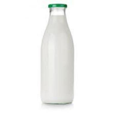 Fresh And Delicious Raw Processed Original Flavor Pure White Buffalo Milk