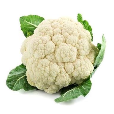 High In Antioxidants And Nutrient-Densed Fresh And Healthy Vegetable Cauliflower Moisture (%): 12%