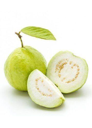 A Grade 99.9% Pure Fresh Indian Origin Common Cultivated Sweet Green Guava Origin: India