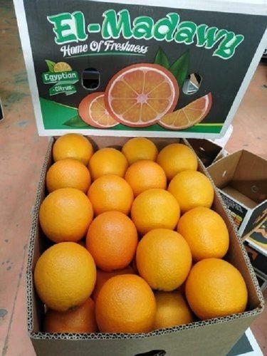 A Grade Egypt Fresh Citrus Orange, Packaging Size: 15kg, Packaging Type: Box