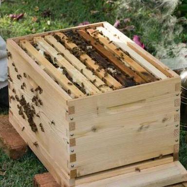 Wooden Bee Box For bee Forming With Rectangular Shape
