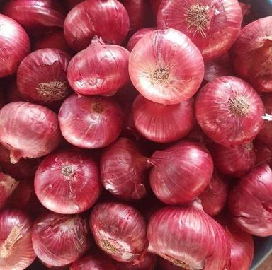 A Grade India Fresh Red Onion, Net Bag, Packaging Size: 40 -50 Kg