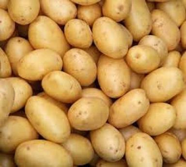 Black A Grade Indian Origin Naturally Grown 100% Pure Farm Fresh Raw Potato