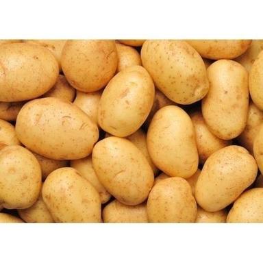 Rich In Vitamin C And Fiber 100% Natural Tasty And Healthy Organic Potato Hardness: Hard